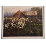 Framed Photography Artwork