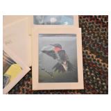 Collectible Postage Stamps