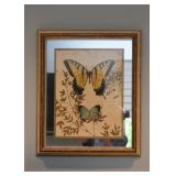Wall Art (Insect Prints) with Mirrored Backing