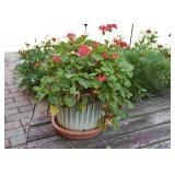 Garden Flower Pots & Planters