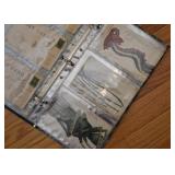 Antique / Vintage Postcards (we have full albums and loose, individual postcards)