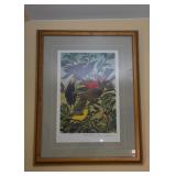 Framed Audubon Print