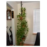 Multi-Tier Plant / Display Stand & Houseplants