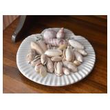 Seashells Plate