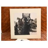 Black & White Photography / Photos