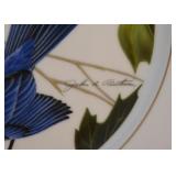 John Ruthman Collectible Bird Plate
