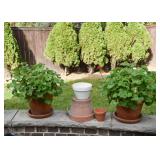 Terra Cotta Planters / Flower Pots