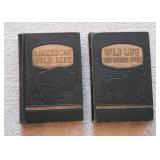 Books (Hardcover & Paperbacks)