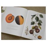 Fruit Illustrated Book