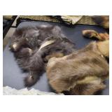 Fox Fur Pelts