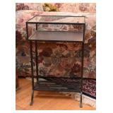 Contemporary Metal & Glass End Table