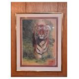 Framed Prints - Tiger