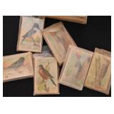 Vintage Bird Cards (seen here in wrapping)