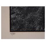 Limited Edition Art Photography, Numbered & Signed by Artist (Photo is approx. 8.5" x 8.5") Limited Edition Art Photography, Numbered & Signed by Artist (Photo is approx. 8.5" x 8.5")