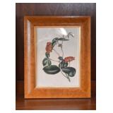 Framed Botanical / Floral Print