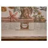 Framed Botanical Print