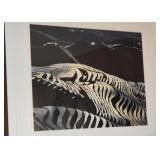 Framed Limited Edition Photograph, Signed & Numbered