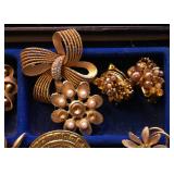 Costume Jewelry (Brooches)