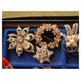Costume Jewelry (Brooches)
