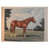 Framed Horse Racing Print (Secretariat), Signed & Numbered