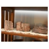 Petrified Wood Specimens
