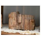 Petrified Wood Specimens