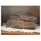 Petrified Wood Specimens