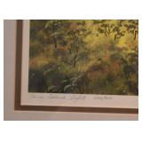 Framed Artwork / Prints