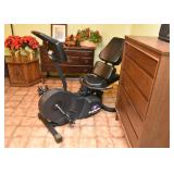 Stairmaster 3800 Exercise Bike