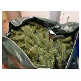 Lighted Christmas Tree