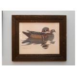 Framed Prints - Ducks