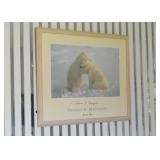 Framed Polar Bears Print Framed Polar Bears Print