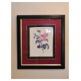 Framed Botanical Print (Roses)