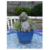 Blue Glazed Flower Pot with Artificial Succulents