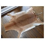 African Animal Hide (there are 2 of these)