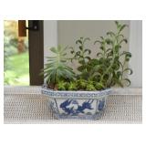 Blue & White Planters