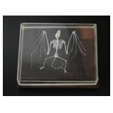 Taxidermy Bat Skeleton Paperweight