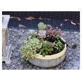 Garden Planter with Succulents