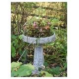 Birdbath