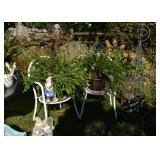 Garden Gnomes, Potted Plants