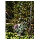 Hanging Planters with Succulents