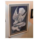Framed Print (Audubon)