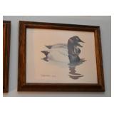 Framed Prints (Ducks)