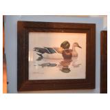 Framed Prints (Ducks)