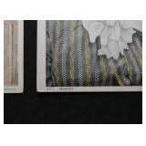 Vintage Postcards - Black Americana