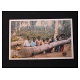 Vintage Postcards - Black Americana