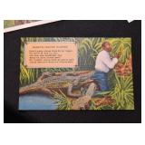 Vintage Postcards - Black Americana