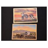 Vintage Postcards - The West & Southwest