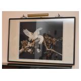 Large Shadowbox / 3-D Artwork with Birds (taxidermy / real feathers?)