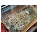 Beads - Art & Craft Supplies